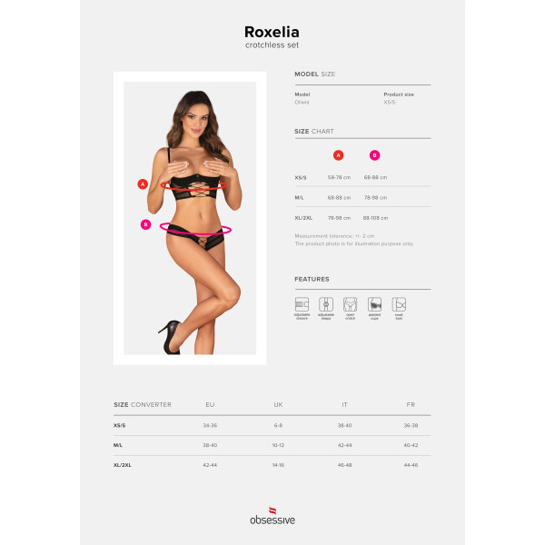Комплект Obsessive Roxelia 2-pcs crotchless set M/L, Obsessive (Польща) - IntimLand