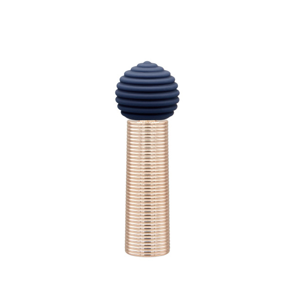 Вибромассажер Pillow Talk Secrets Desires 6-Piece Mini Massager Set - Navy, Pillow Talk (Канада) - IntimLand