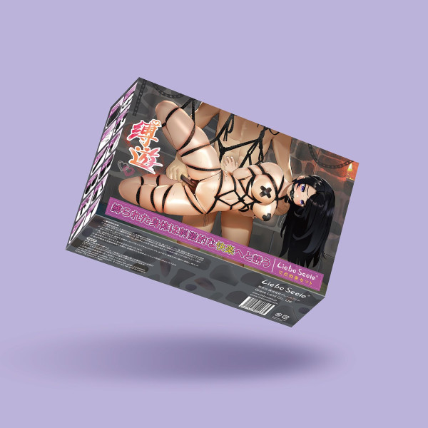 БДСМ-набор Liebe Seele Bound You 12pcs set, 12 предметов, в комплекте вибропуля и кружевные стринги, Liebe Seele - IntimLand